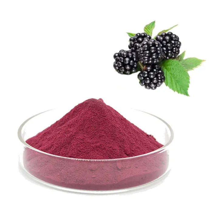 Food Grade Natural Mulberry Extract Organic Mulberry Fruit Juice Powder