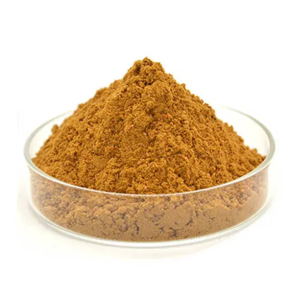 Natural Maitake Mushroom Extract Powder Polysaccharides 30% Mushroom Extract Powder