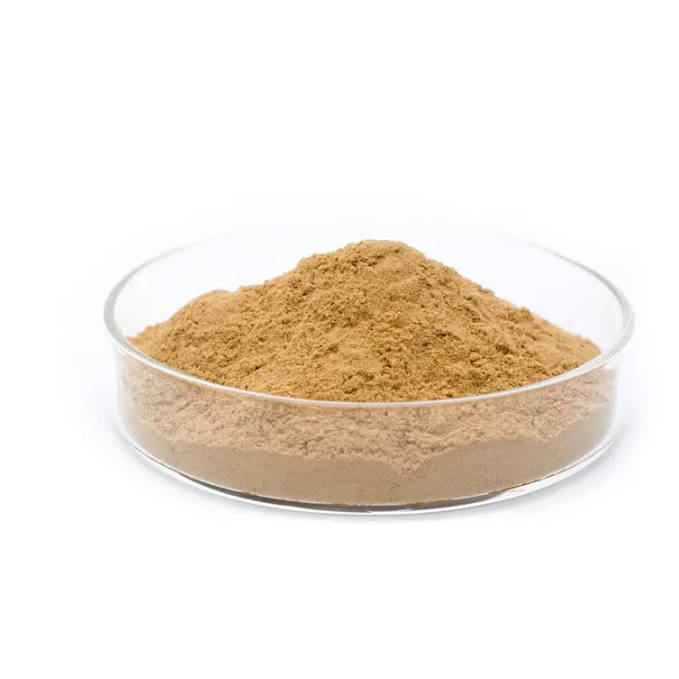 Organic Raw Material Hericium Erinaceus Extract Lion's Mane Mushroom Powder