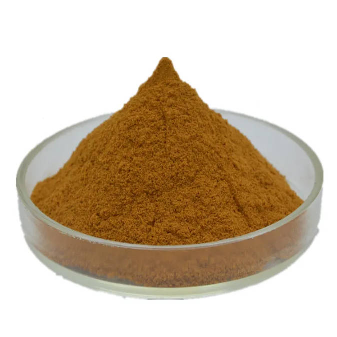 Pure Natural Organic Chia Seed Extract 10:1 50:1 Bulk Chia Seed Extract Powder