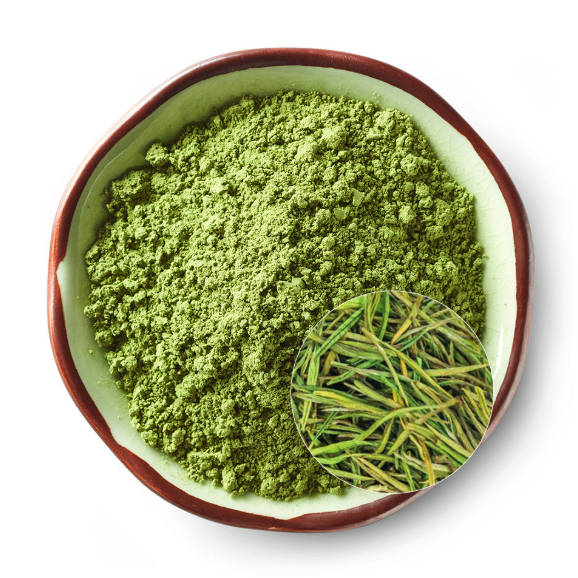 Bulk Organic Matcha Green Tea Powder Ceremonial Grade Matcha Powder